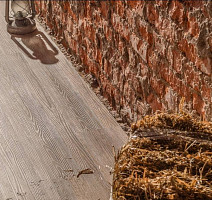 Vinilam Click 3.7мм 511003 Дуб Ульм фото 3 | FLOORDEALER